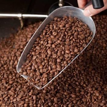 Dauner Kaffeer&ouml;sterei Ecuador Vilcabamba