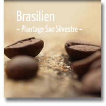 delMocca Kaffeerösterei BRASILIEN Plantage Sao Silvestre delMocca Kaffeerösterei BRASILIEN Plantage Sao Silvestre