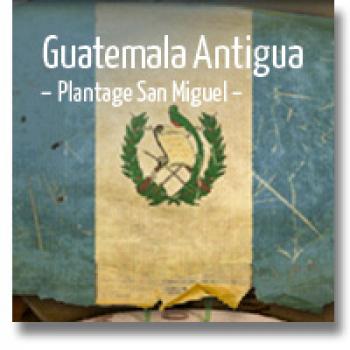 delMocca Kaffeerösterei GUATEMALA ANTIGUA Plantage San Miguel delMocca Kaffeerösterei GUATEMALA ANTIGUA Plantage San Miguel