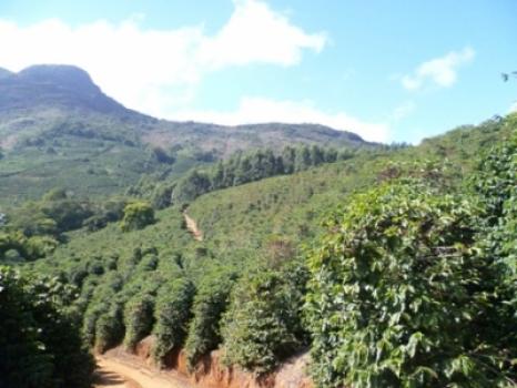 Hepa-Kaffee Kamerun Hepa-Kaffee Kamerun
