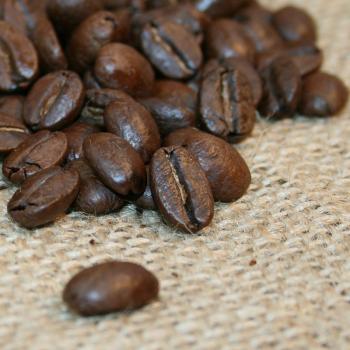 Kaffee Manufaktur Jamaica &raquo;Blue Mountain&laquo;