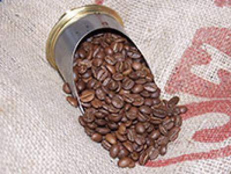 Kaffeefee Sachsen Landhofmischung &ndash; Der Fr&uuml;hst&uuml;ckskaffee