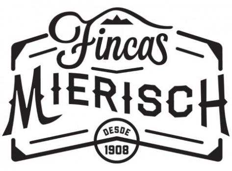 Schamong Kaffee NICARAGUA MIERISCH FINCA LIMONCILLO Schamong Kaffee NICARAGUA MIERISCH FINCA LIMONCILLO
