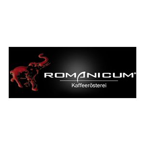 Romanicum Romanicum